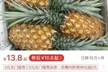 徐闻菠萝24小时“拼”出67万斤 拼多多加速推广“徐闻模式”图片