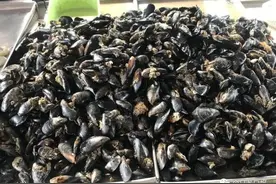 肥！来十块钱儿的！不小心就是一大盆……图片