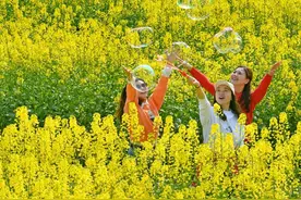 武胜：滩涂变成“金土地”图片