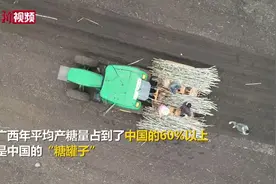 广西柳州甘蔗春耕开启  7.24亿元补贴助蔗农生产机械化视频封面