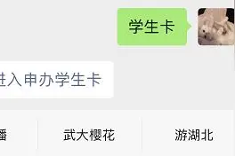 免费给武汉中小学生发放“学生公交卡”？官方回复了图片