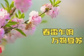 惊蛰|春雷乍响 万物复苏视频封面