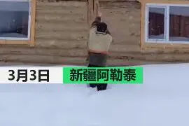 南方人酸了！新疆男子雪后清理屋檐引“雪崩”积雪1米高深到能跳雪图片