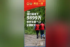 2020年，现行标准下9899万农村贫困人口全部脱贫图片