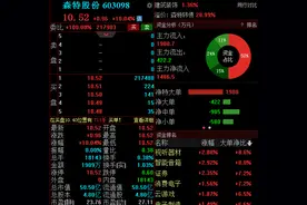 森特股份一字涨停，隆基股份大手笔溢价收购成第二大股东图片