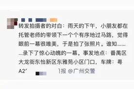 刷屏！斑马线上这一幕让网友怒了，广州警方教你做人图片