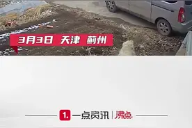 一看就是惯犯！司机倒车进院光明正大偷金毛图片