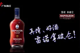 雷诺发力广东市场，登陆广东广播电视台与消费者见面图片