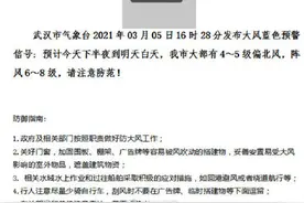 大风蓝色预警：武汉今晚有大风，阵风6~8级图片