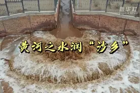 黄河之水润“沙乡”视频封面