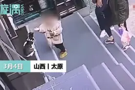 主人使唤狗子拖回门口玩耍猫咪 网友：这狗像极了领导让我取快递图片