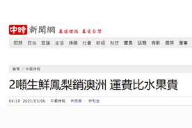 台媒报凤梨“新突破”：2吨销往澳大利亚，运费比水果贵图片