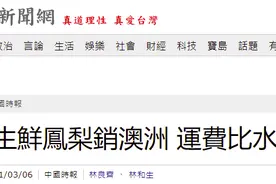 这也算突破？台媒：不怕运费比水果贵，台湾2吨凤梨销往澳大利亚图片