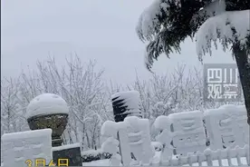 三月骤降大雪 康定一夜变“冰雪世界”图片