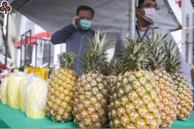 台湾菠萝为何渐失竞争力？林佳新：独尊金钻的结果图片