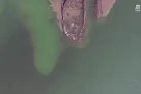 黄河河道清淤疏浚忙视频封面