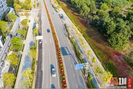 走，一起来看深圳的“花花世界”图片