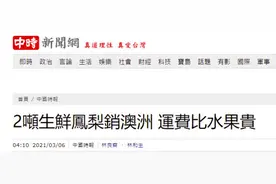 台媒：不怕运费比水果贵，台湾2吨凤梨销往澳大利亚图片