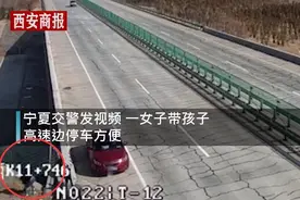 轿车高速停靠女子带娃路边解手 交警喊话后车辆驶离2人狂奔追车图片