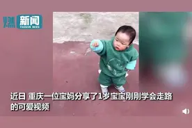 1岁宝宝刚刚学会走路 独特姿势笑翻网友：安全感果然要靠自己图片
