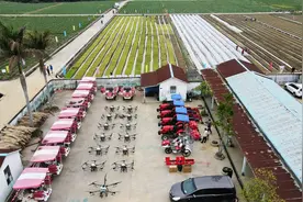 直播大湾区丨自动化播种+机械育秧 春耕加入科技范图片