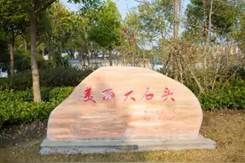 金山有座1亿岁的“山”！TA的故事，你都知道吗？图片