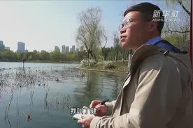 我的这五年｜用剪纸艺术记录合肥的变化视频封面