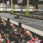 张柏芝晒儿子玩卡丁车视频 两个儿子风驰电掣超帅气图片