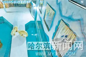 与北极熊“同眠”你敢来吗？图片