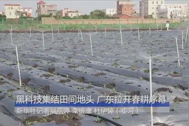 黑科技集结田间地头 广东拉开春耕序幕视频封面