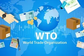 对话周汉民：WTO需全面改革，应坚持共同但有区别原则视频封面