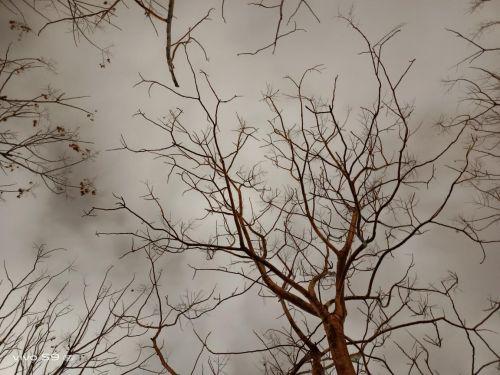 vivo S9评测：时尚轻薄5G旗舰，暗夜轻松照亮你的美