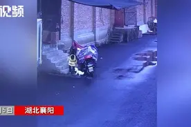 可怕！小狗未栓狗绳追咬3名男童，2人被扑倒在地图片