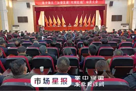 蚌埠市龙子湖区：加快发展，对标赶超图片