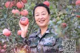 履职故事│冀果出太行 乡村好振兴图片