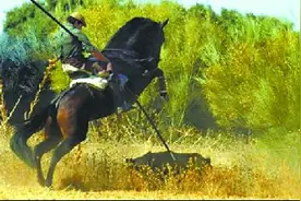 西班牙狩猎，在野性与文明中游走图片