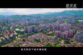 闪闪发光的你视频封面