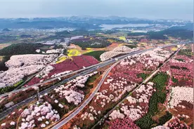 贵阳：农村电商为乡村振兴插上金翅膀图片