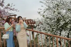 女神去哪赏花？广东十大赏花地出炉：清城、从化、南沙排前三图片