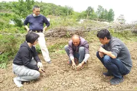 中国人寿1集体1个人分别荣获全国巾帼文明岗集体和全国巾帼建功标兵称号图片
