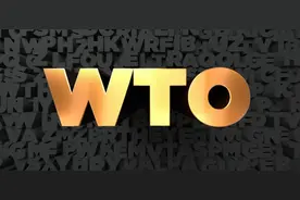 新任总干事能开启WTO的新时代吗图片