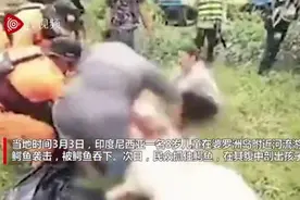 悲剧！8岁儿童河中游泳突遭鳄鱼一口吞下，父亲亲眼目睹全过程……图片
