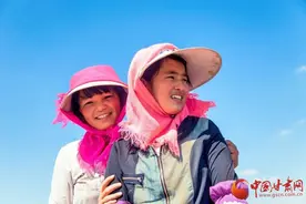 河西走廊的“花头巾”：辛勤劳作的女性最美图片