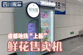 成都地铁上新鲜花售卖机 价格如何？图片