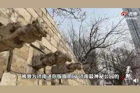 济南最神秘公园重新开放！踏青看景赏花，这里景色宜人图片