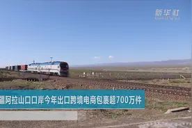 新疆阿拉山口口岸今年出口跨境电商包裹超700万件视频封面