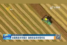到2025年，农业农村现代化取得重要进展，化肥农药使用量持续减少视频封面