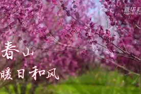 湖北，我们好起来了视频封面