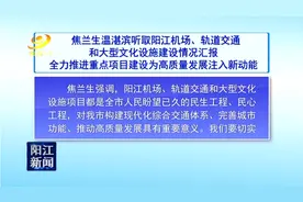 焦兰生温湛滨听取阳江机场、轨道交通和大型文化设施建设情况汇报图片