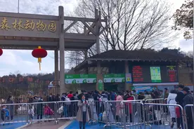 红山森林动物园，现在什么样？图片